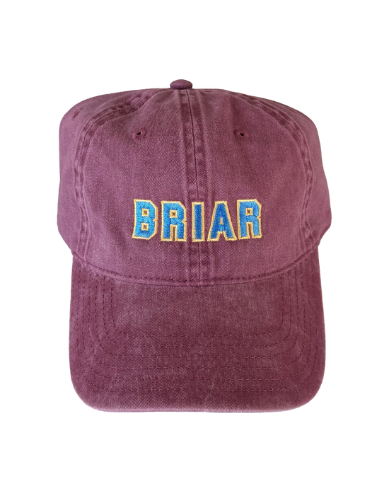 Briar Dad Hat