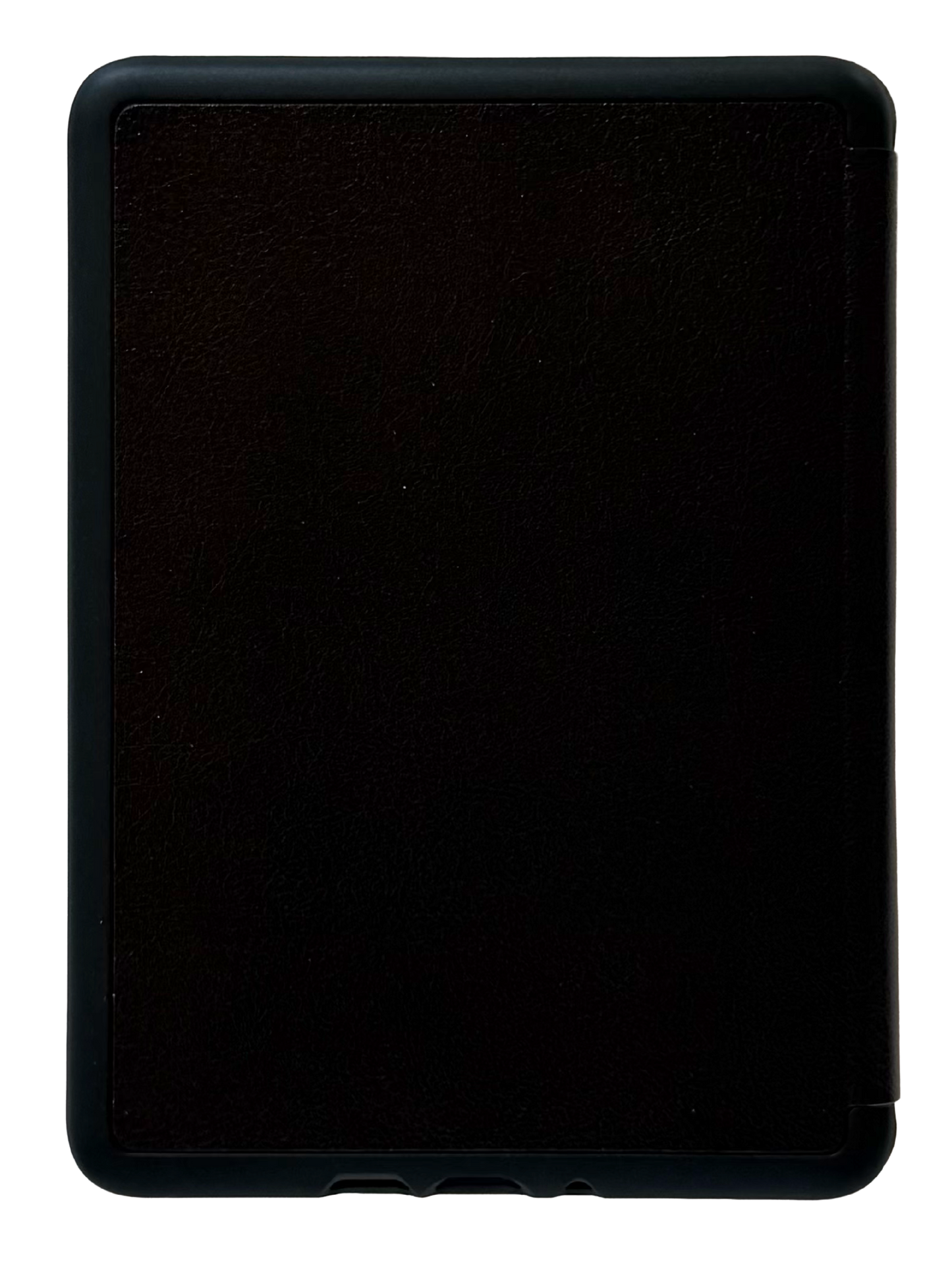 Library Thrill Ride Kindle and Kobo Case